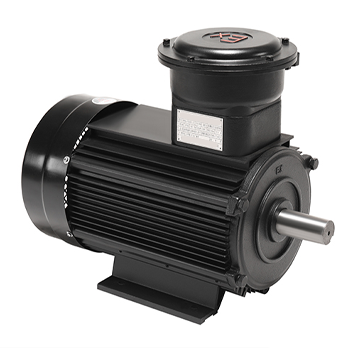 About Dust Explosion proof Motors