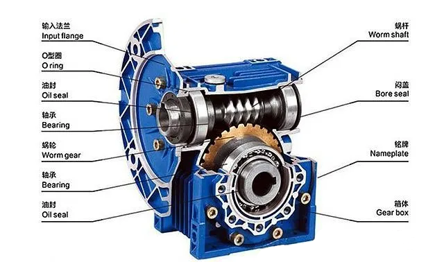 Unveiling the Turbo Worm Gear Reducer
